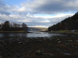 IMG_0011